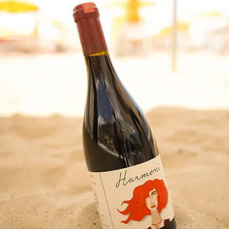 Otel Albanian Star Kryemëdhej